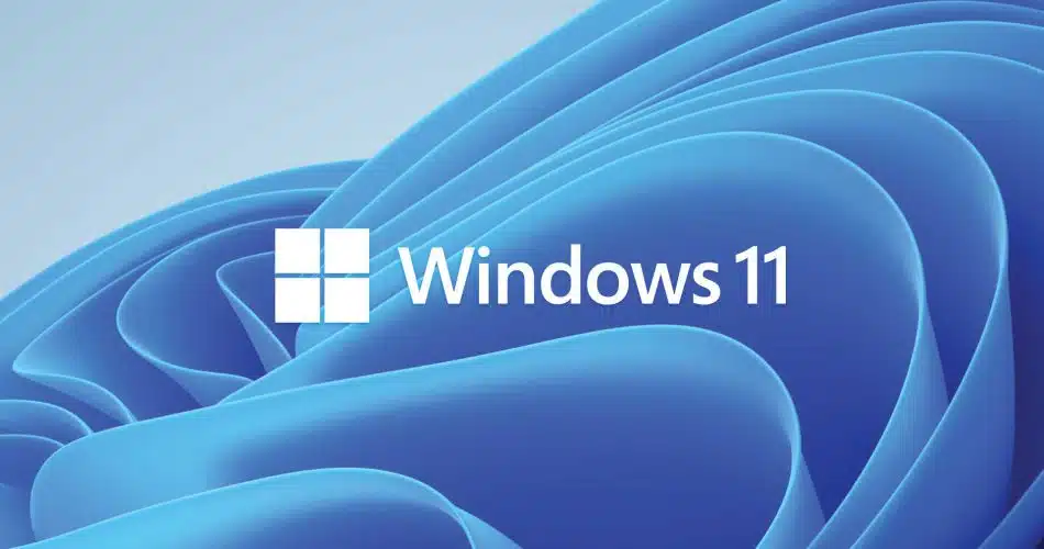 windows11 windows11